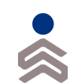 Logo Schuldnerberatung RfS